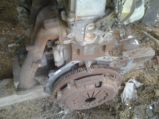 ขายเครื่อง มาสดาราคาถูกเครื่องติดได้ ขายเครื่อง มาสดาราคาถูกเครื่องติดได้