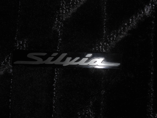 พรมปูพื้น silvia