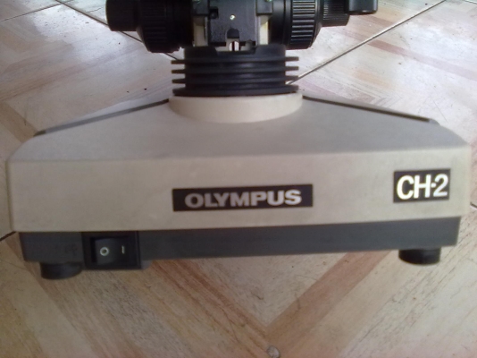 กล้องจุลทรรศน์ OLYMPUS