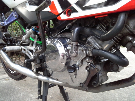 ขายโชนิคตัวใหม่ปี52