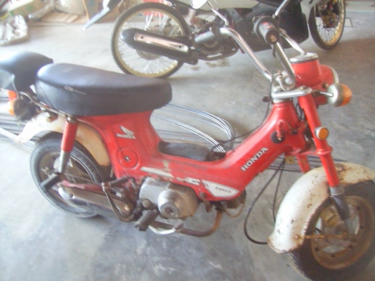 ขาย Honda ชาลี