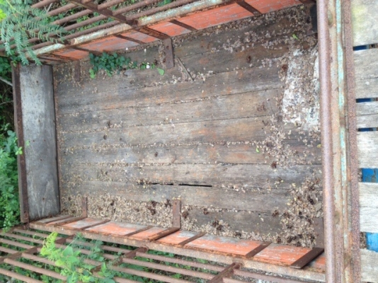 @@@@@  ร่วมชื้อกระบะพร้อมคอกรถ4ล้อครับ  @@@@@