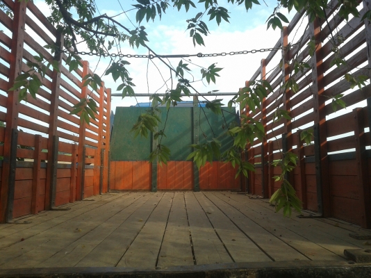 ขาย 6 ล้อ ISUZU NPR 110 (NPR595U5) รถห้างแท้ตัวแรก F หน้า+หลังแล้ว ยาง 8.25 ยางใหม่ 6เส้นเ ครื่องดี แซสซีสวย พร้อมใช้งานได้ทันที.......