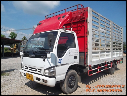 ขายด่วน รถบรรทุก 6 ล้อ ISUZU NQR 150 แรง EURO-2 รถห้างแท้ ปี50 ช่วงยาว 5.5M สภาพสวย พร้อมใช้งาน ราคาสุดคุ้ม