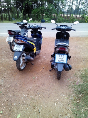 มีโอ125+ซีแซดไอ+คลิ๊กปี50