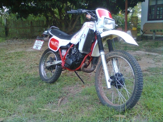 ขาย honda mtx125 สถาพสวยๆตามรูปทะเบียนขาดต่อ(เมย52)มีชุดโอนราคา26,500บาท