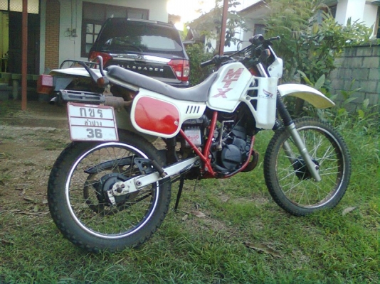 ขาย honda mtx125 สถาพสวยๆตามรูปทะเบียนขาดต่อ(เมย52)มีชุดโอนราคา26,500บาท