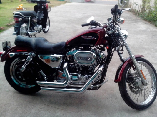 Harley davidson Harley davidson