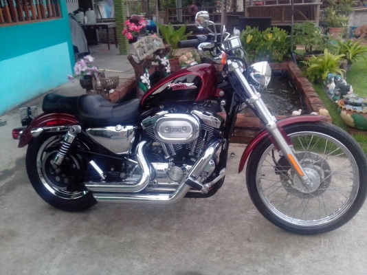 Harley davidson Harley davidson