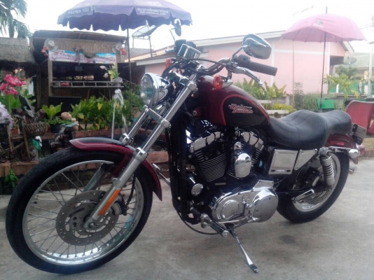 Harley davidson Harley davidson