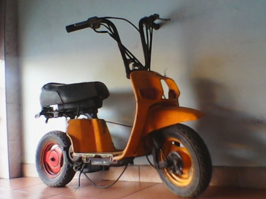 ระเบิดชะนีน้อย