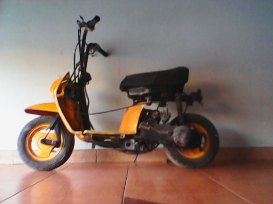 ระเบิดชะนีน้อย