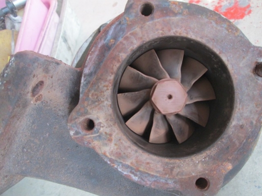 ขายโบ AR 58