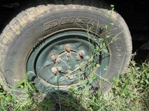 Jeep Wagoneer คุณเอนก (089-033-3777) Jeep Wagoneer คุณเอนก (089-033-3777)