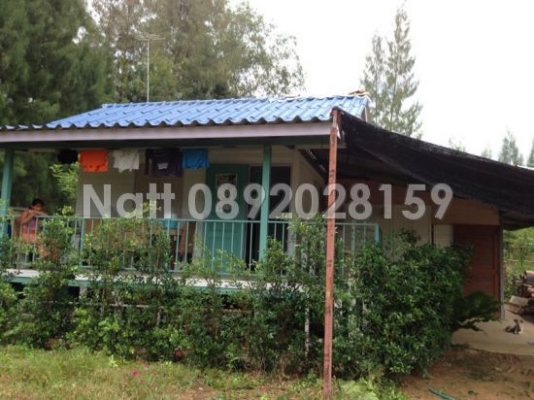 ขายด่วน ไร่อินทผาลัม 12ไร่2งาน 3วา พร้อมบ้านพัก เล็กๆอีก 1 หลัง ทั้งหมดแค่ 5.5 ล้านบาท โอกาสดีแบบนี้ไม่มีอีกแล้ว.