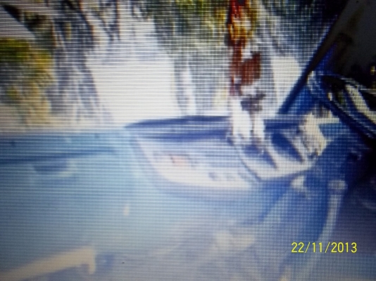 ขาย4ล้อกลาง อิซูสุ TL 85 HP พร้อมใช้ เพลาลอย ทะเบียน พร้อมโอน ขาย4ล้อกลาง อิซูสุ TL 85 HP พร้อมใช้ เพลาลอย ทะเบียน พร้อมโอน