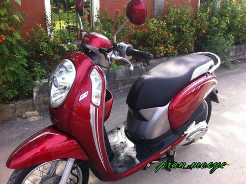ขายscoopy-iสีเเดงเทา ปี2013 ขายscoopy-iสีเเดงเทา ปี2013