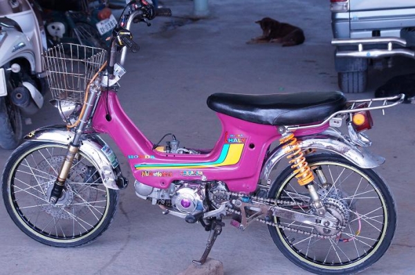 ขาย HONDA ชาลี เครื่องเวฟ แต่งสวย ๆ เครื่องดีมาก ๆ สภาพตามรูป รถพร้อมใช้ ครับ ขาย HONDA ชาลี เครื่องเวฟ แต่งสวย ๆ เครื่องดีมาก ๆ สภาพตามรูป รถพร้อมใช้ ครับ