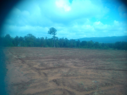 ที่ดินแบ่งขาย วิวสวยมาก ที่เนินไม่ชัน มีโฉนด สร้างบ้านพักตากอากาศ ราคาถูกครับ