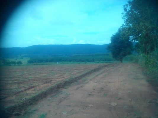 ที่ดินแบ่งขาย วิวสวยมาก ที่เนินไม่ชัน มีโฉนด สร้างบ้านพักตากอากาศ ราคาถูกครับ