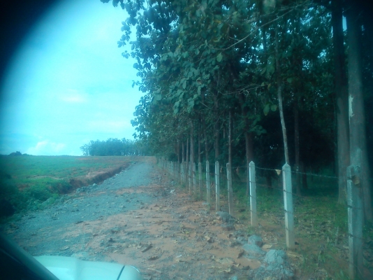 ที่ดินแบ่งขาย วิวสวยมาก ที่เนินไม่ชัน มีโฉนด สร้างบ้านพักตากอากาศ ราคาถูกครับ