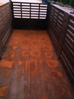 ขายด่วนเม็กก้า 260 แรง พ่วงแม่ลูก จัดแนนซ์ได้ ผ่อนเงินดาวน์ได้ ดอกเบี้ยถูก