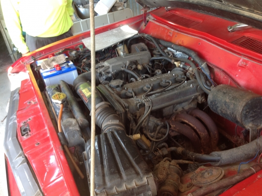 ช้างแต่ง มาแล้วจ้าาา   ขายถูกๆ