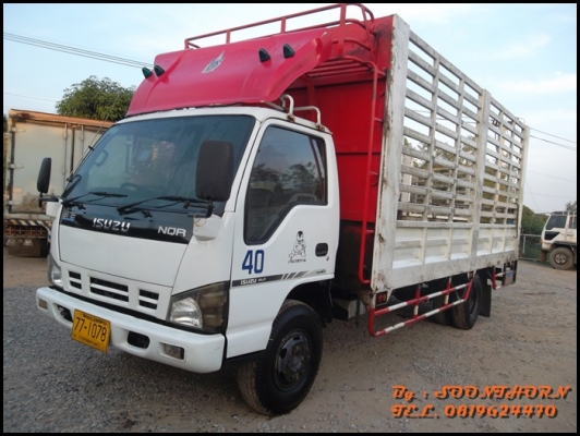 ขายด่วน รถบรรทุก 6 ล้อ ISUZU NQR 150 แรง EURO-2 รถห้างแท้ ปี49  ช่วงยาว 5.5M สภาพสวย พร้อมใช้งาน ราคาสุดคุ้ม