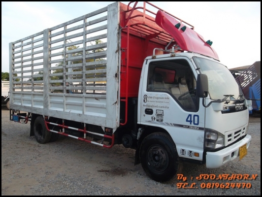ขายด่วน รถบรรทุก 6 ล้อ ISUZU NQR 150 แรง EURO-2 รถห้างแท้ ปี49  ช่วงยาว 5.5M สภาพสวย พร้อมใช้งาน ราคาสุดคุ้ม