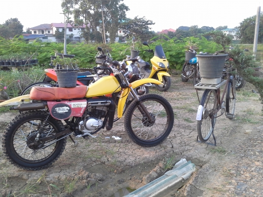 ขายer 125 มีเล่มทะเบียนไม่โอนพร้อมใช้ครับ