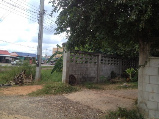 ขายที่ดินอำเภอเมืองนครราชสีมา ตำบลปรุใหญ่ ถนนเส้นตะคลองเก่า ห่างจากเดอะมอล์ ก.ม. เดียว