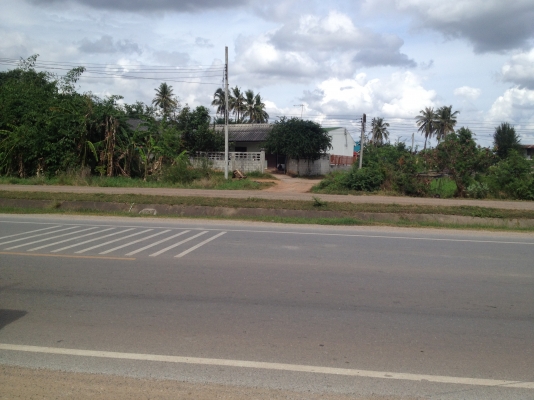 ขายที่ดินอำเภอเมืองนครราชสีมา ตำบลปรุใหญ่ ถนนเส้นตะคลองเก่า ห่างจากเดอะมอล์ ก.ม. เดียว