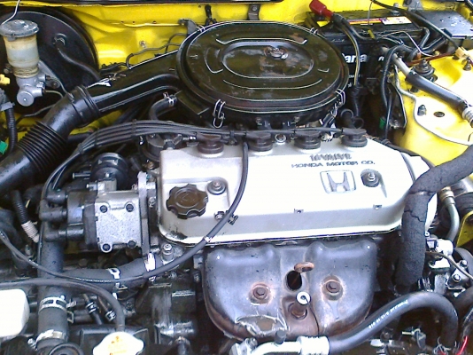 ขาย3ดร 95,000บาท ขาย3ดร 95,000บาท