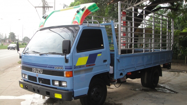ISUZU NPR เครื่อง115 ดาวน์95000ผ่อน11000/36เดือน