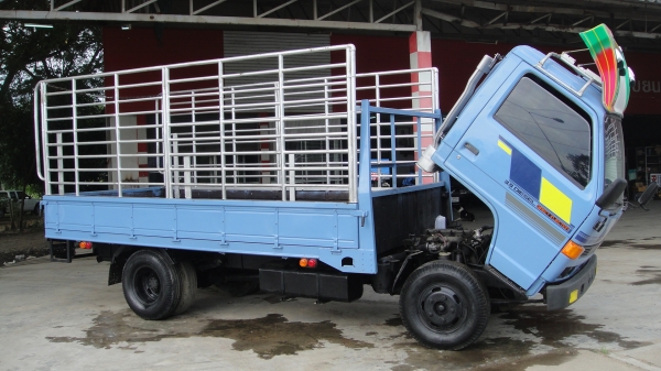 ISUZU NPR เครื่อง115 ดาวน์95000ผ่อน11000/36เดือน