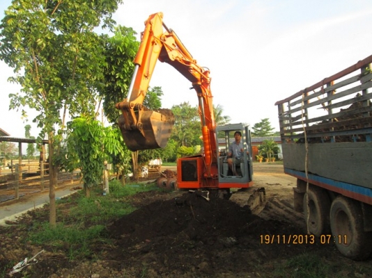 ด่วน ! ขายถูก  รถแบคโฮ