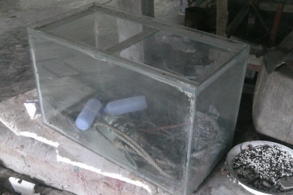 ขายตูปลามีรอยร้าว