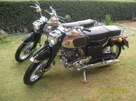 ขายหมูดำ 1ตัว ขายหมูดำ 1ตัว