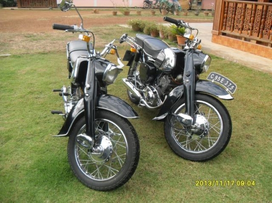 ขายหมูดำ 1ตัว ขายหมูดำ 1ตัว