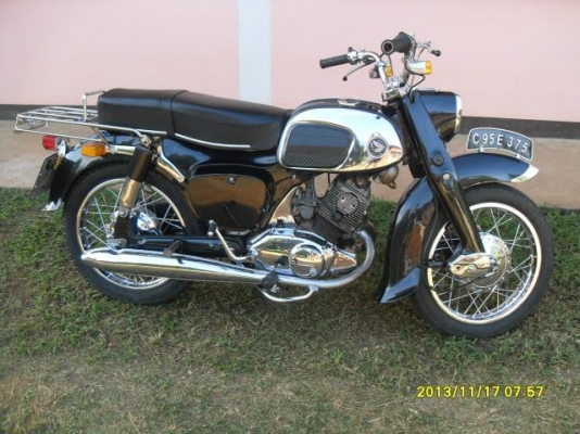 ขายหมูดำ 1ตัว