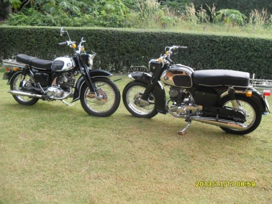 ขายหมูดำ 1ตัว ขายหมูดำ 1ตัว