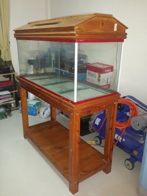 ขายตู้ปลา 48นิ้ว พร้อมขาตั้งไม้ ราคาถูก สนใจสอบถามรายละเอียดได้ครับ ขายตู้ปลา 48นิ้ว พร้อมขาตั้งไม้ ราคาถูก สนใจสอบถามรายละเอียดได้ครับ