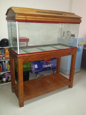 ขายตู้ปลา 48นิ้ว พร้อมขาตั้งไม้ ราคาถูก สนใจสอบถามรายละเอียดได้ครับ ขายตู้ปลา 48นิ้ว พร้อมขาตั้งไม้ ราคาถูก สนใจสอบถามรายละเอียดได้ครับ