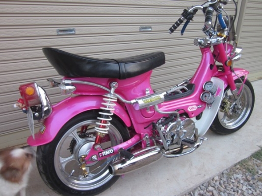 ชาลีแต่งเทพๆ เครื่อง Honda ไนท์ 110 cc. มีทะเบียน เครื่องชุบ ครัชมือ ดิสเบรคหน้า ล้อ12" ยางใหม่ ท่อผ่าเสียงแน่นๆ