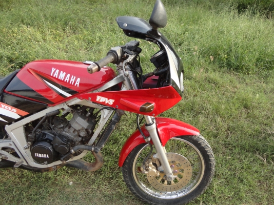 ขอบคุณพี่เสือซื้อขายแล้ว YAMAHA-TZR-150 CC. ด่วน โทร.081-005-8785