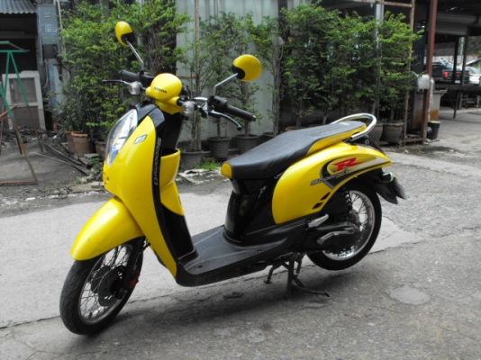 ขาย Scoopies I ปี 53
