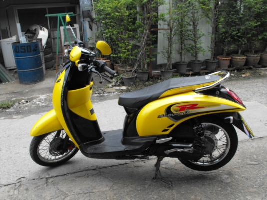 ขาย Scoopies I ปี 53