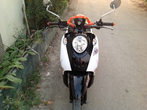 ขายfino สีส้ม ดำ ขาวปี2554 ขายfino สีส้ม ดำ ขาวปี2554