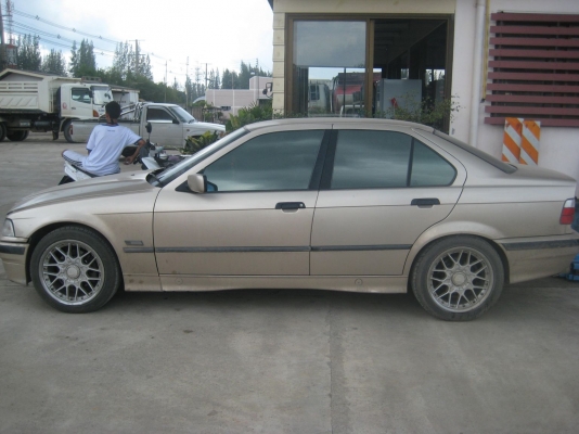 ขาย bmw e 36 นกแก้ว