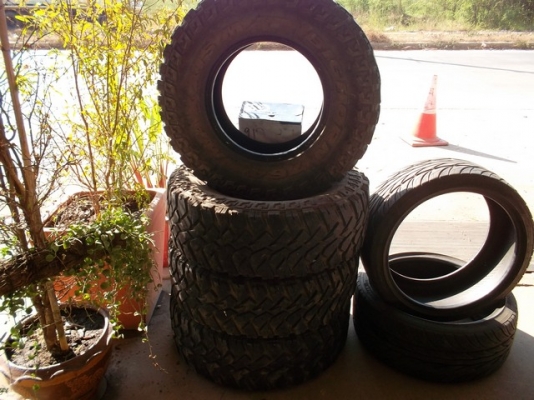 ขายยางมัด 31 นิ้ว Big Horn 764 ปี 2011